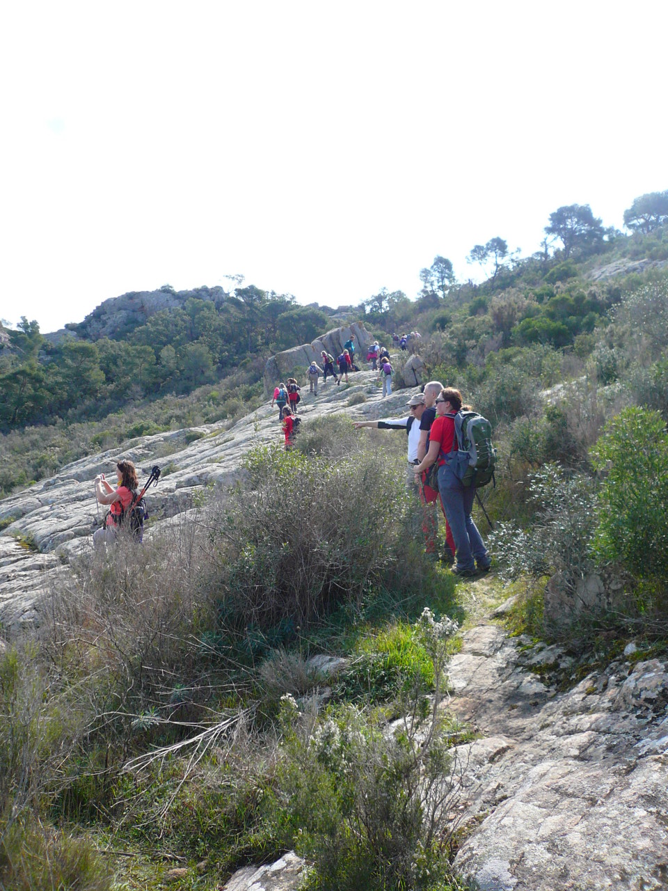 CIRCULAR_BEGUR_12-03-201712