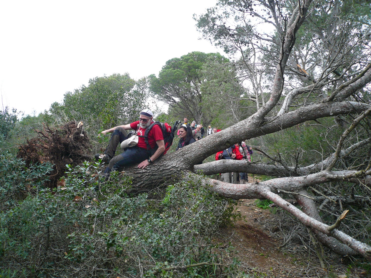 CIRCULAR_BEGUR_12-03-201738